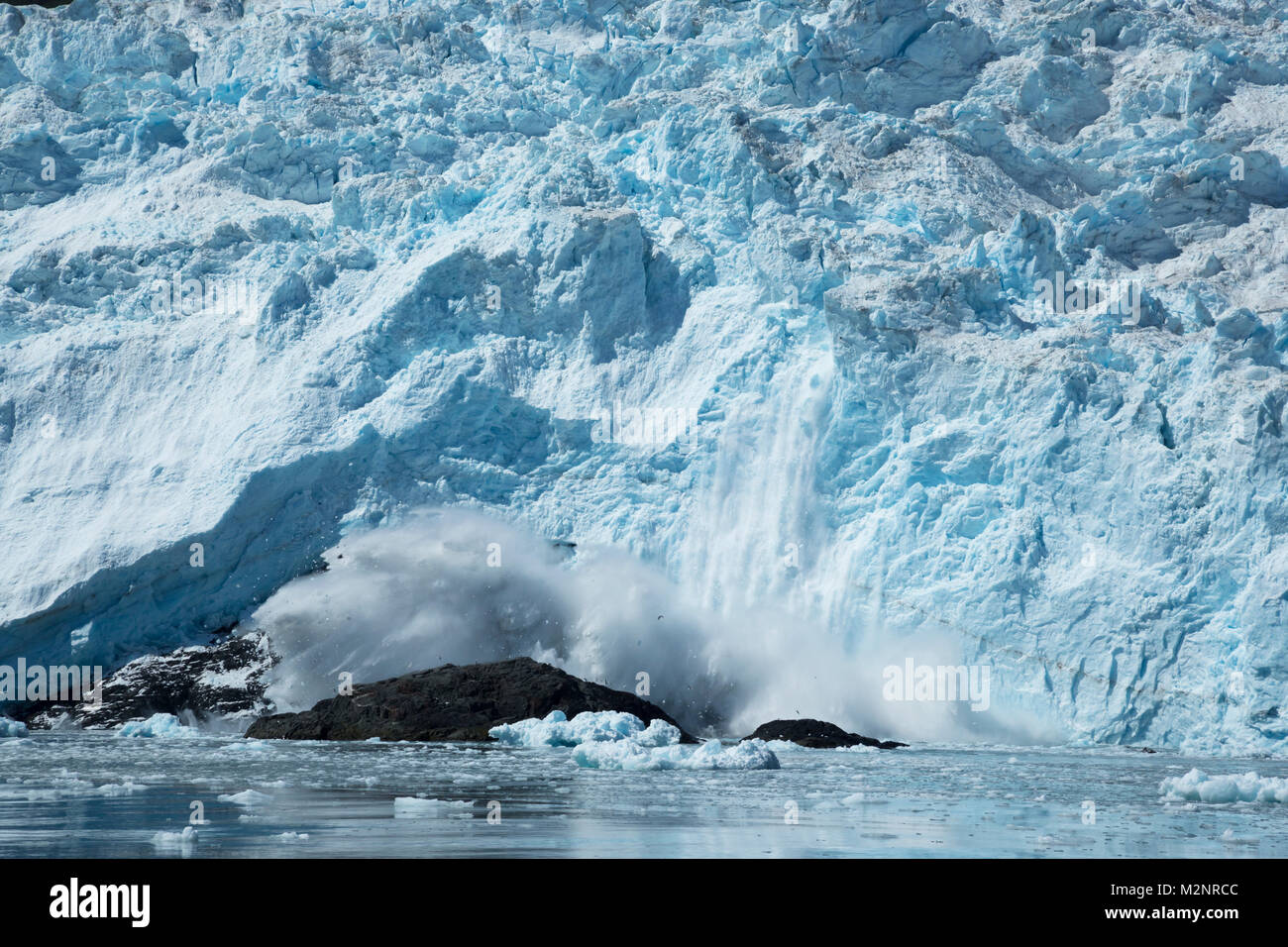 Geler une action spectaculaire glacier de vêlage, mur massif de chute de glace comme il éclabousse dans l'eau ci-dessous, la vue populaire au nord-ouest de l'Alaska États-unis Fjord Banque D'Images