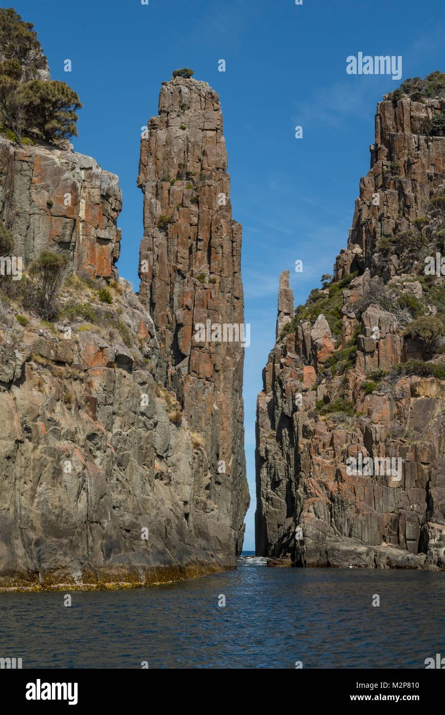 Le Chandelier, Cap Français Hauy, Tasman NP, Tasmanie, Australie Banque D'Images