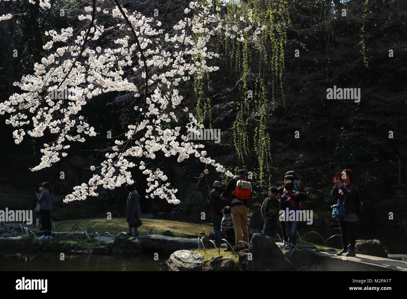 Jardin Du Temple Yasukuni Tokyo Japon A Des Arbres Où Les