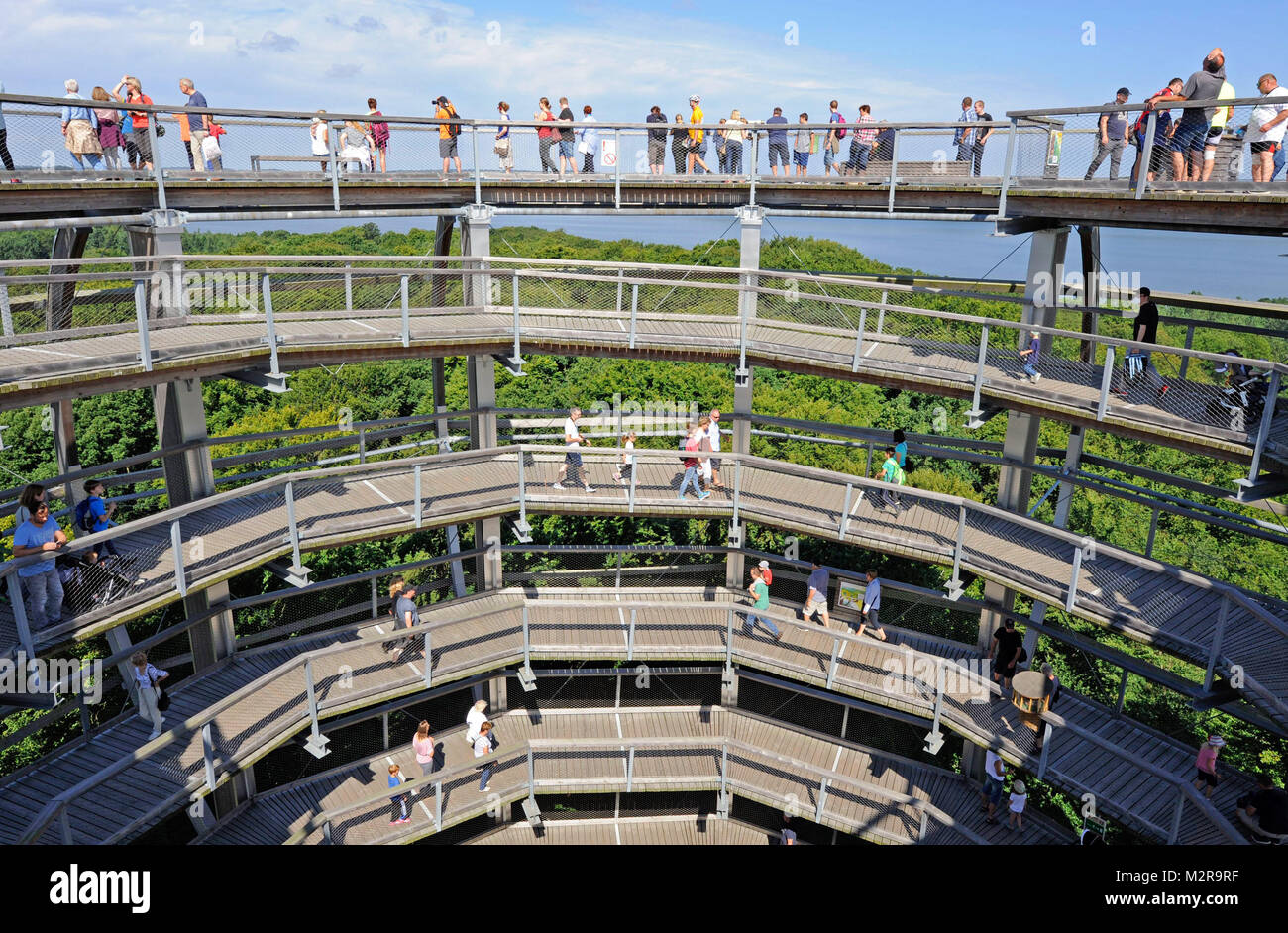 Visiteur dans la tour d'observation "Adlerhorst', sans barrière, le point le plus élevé du 'Baumwipfelpfad' (chemin) dans le Zentrum Naturerbe Rügen, en vue de les forêts de feuillus mixtes de Rügen, de Jasmunder Bodden et la mer Baltique Banque D'Images