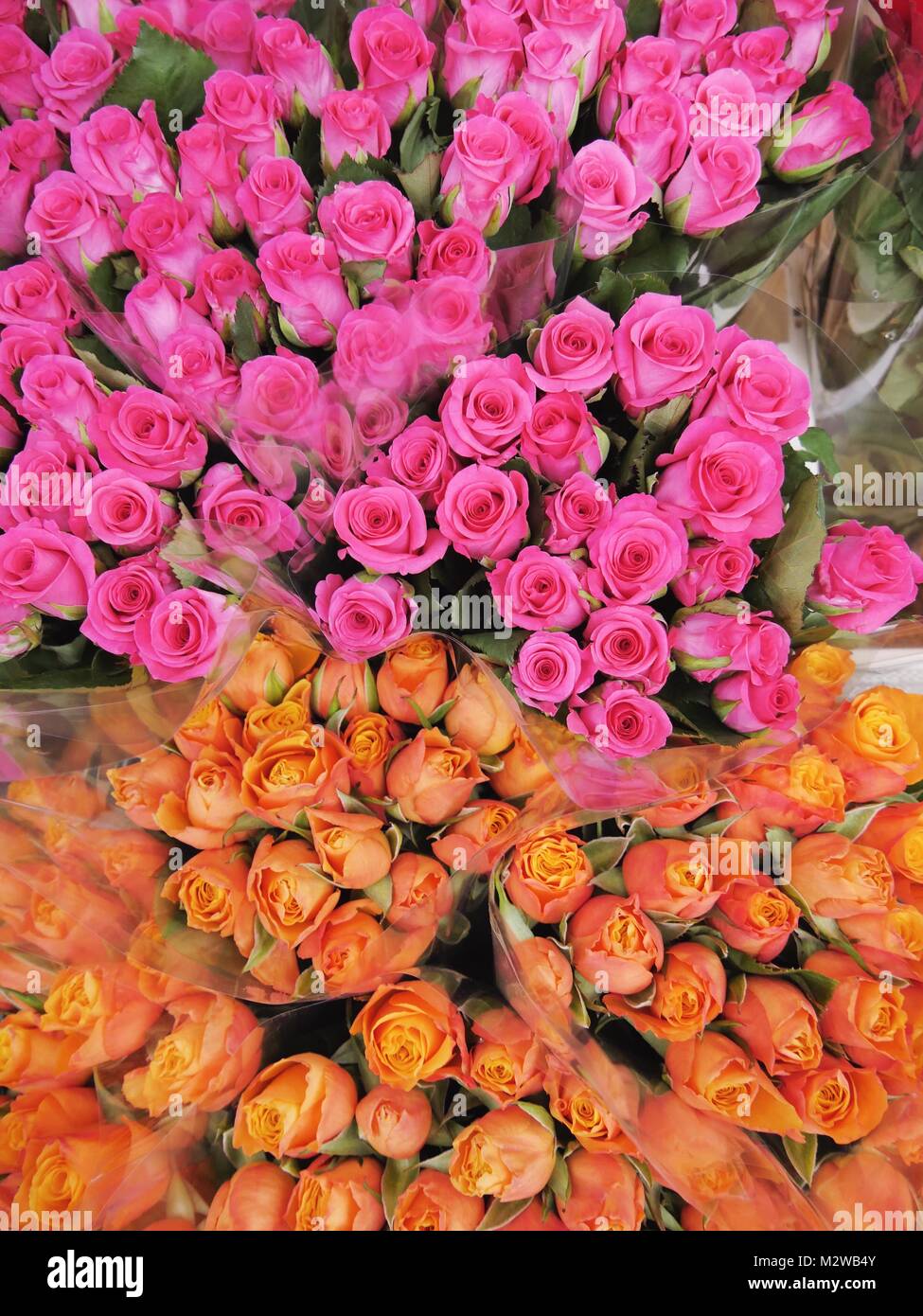 Roses de Columbia Road Market Banque D'Images