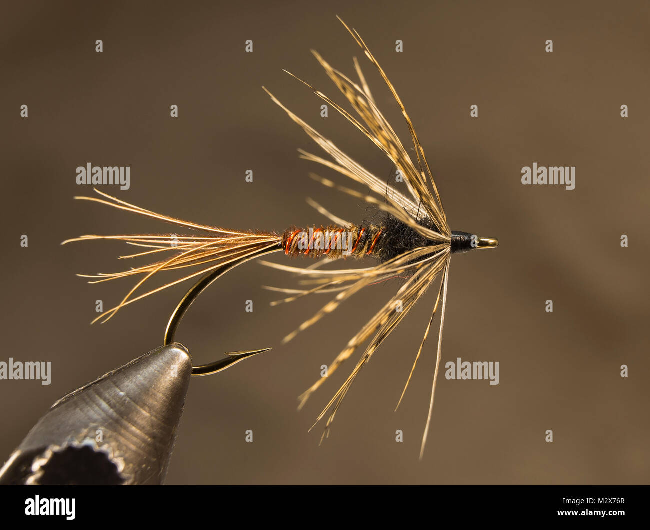 Pheasant Tail Flymph Soft Hackle wet fly hook : TMC 200R N°10 Queue : fibres de queue de faisan à collier Corps : la queue de faisan Banque D'Images