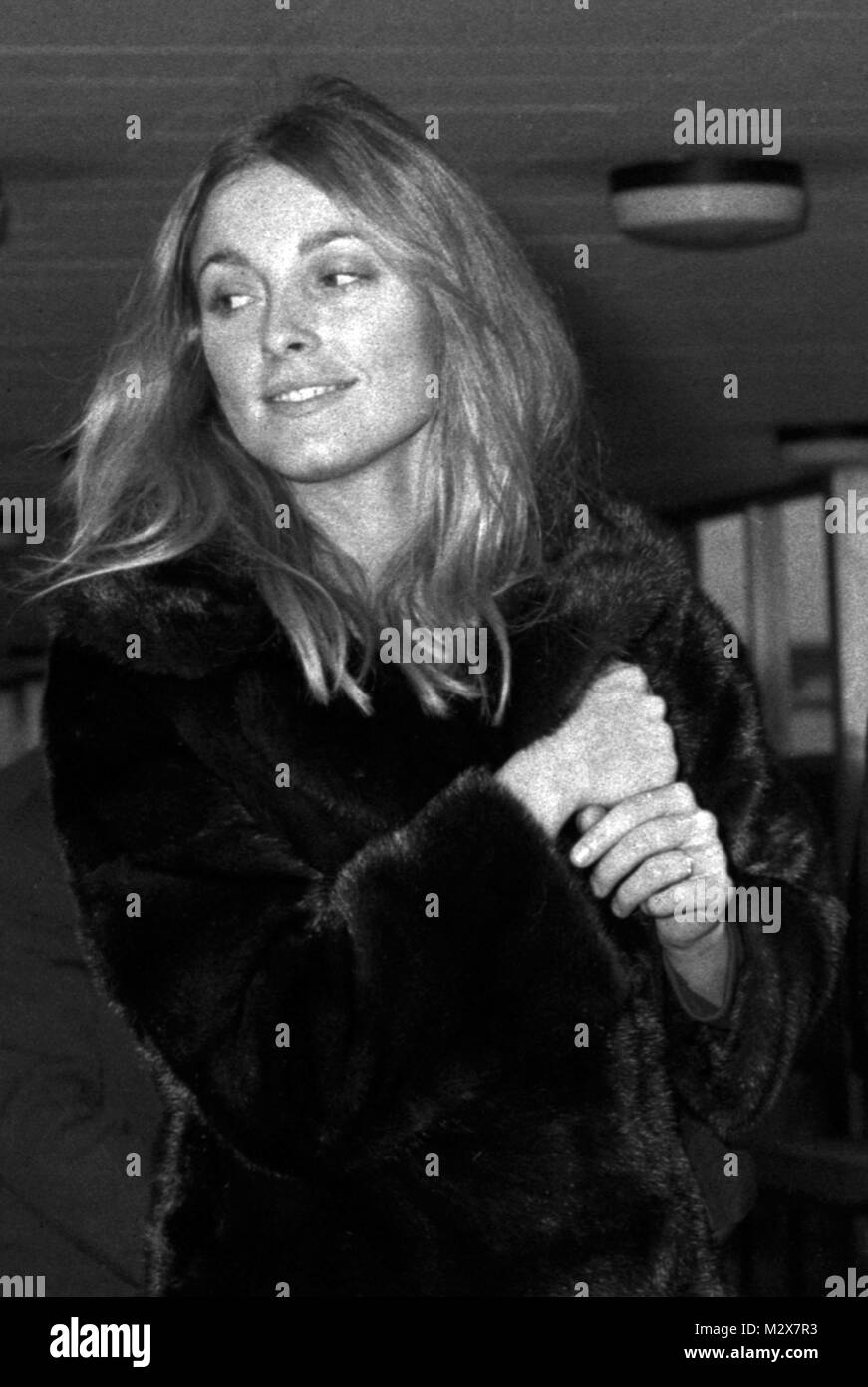 L'actrice Sharon Tate à l'aéroport de Heathrow, Londres, après un vol en provenance de Paris après une lune de miel avec Roman Polanski (pas sur la photo). Banque D'Images
