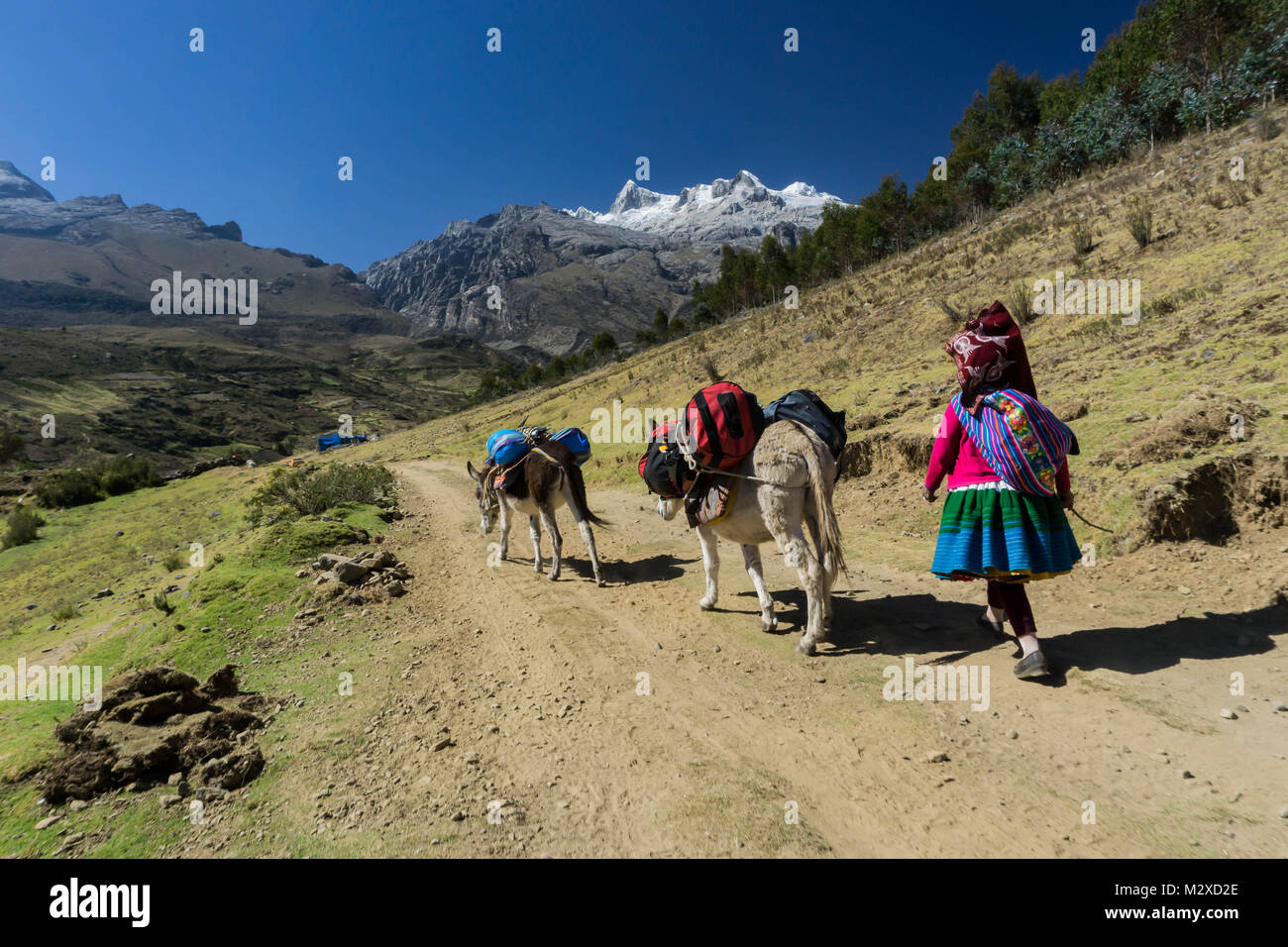 Les femmes autochtones porter et donkey driver transportant du matériel pour l'ascension de l'expédition dans les Andes au Pérou Banque D'Images