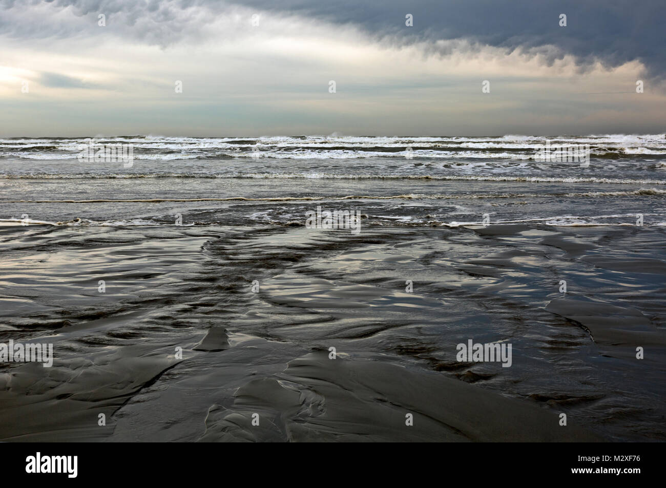 WA13280-00...WASHINGTON - Kalaloch Beach sur la côte du Pacifique dans le parc national Olympic. Banque D'Images