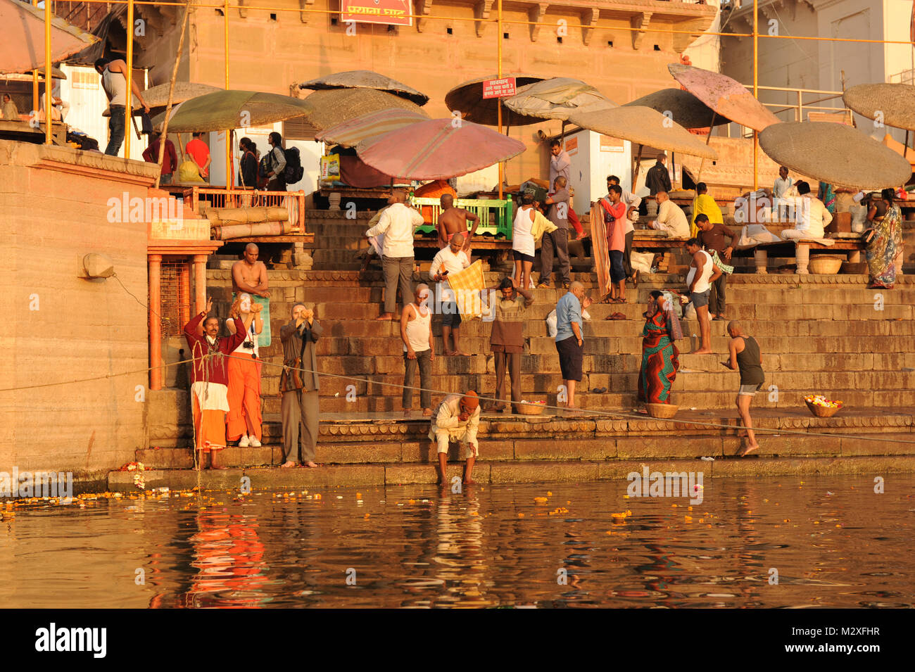 Les dévots sur les rives du Gange prendre une immersion sainte de Varanasi, Inde Banque D'Images