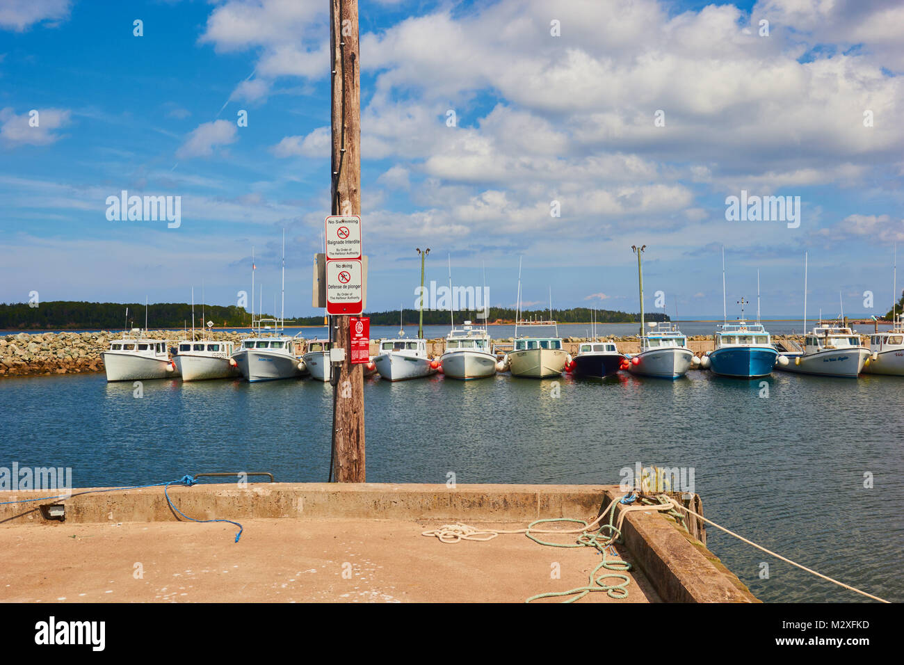 Ligne de bateaux de pêche, le Caribou Harbour, comté de Pictou, Nouvelle-Écosse, Canada Banque D'Images