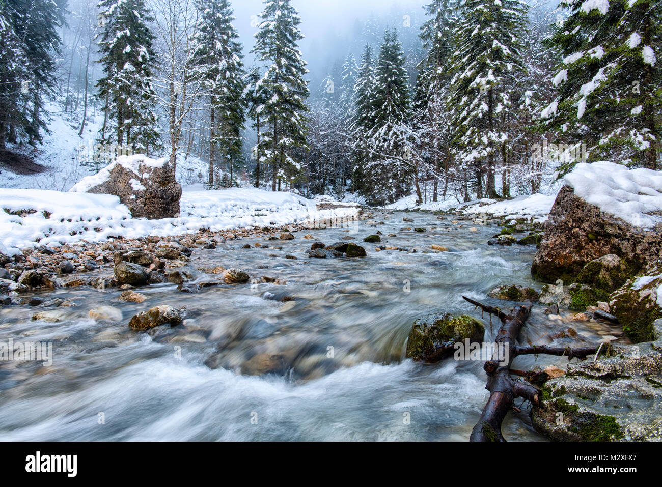 Ruisseau de montagne flowiing en bas des côtés de l'amphithéâtre naturel situé dans l'extrémité est du massif de la Chartreuse dans les départements français o Banque D'Images