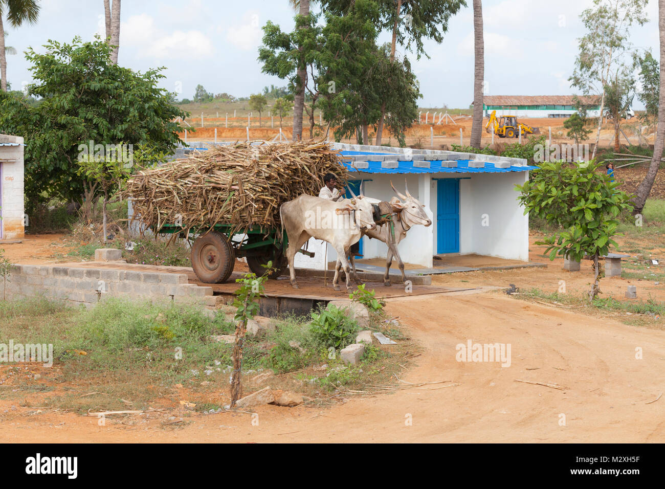 L'Inde , Karnataka, Hampi, charrette avec la canne à sucre sur un pont-bascule Banque D'Images