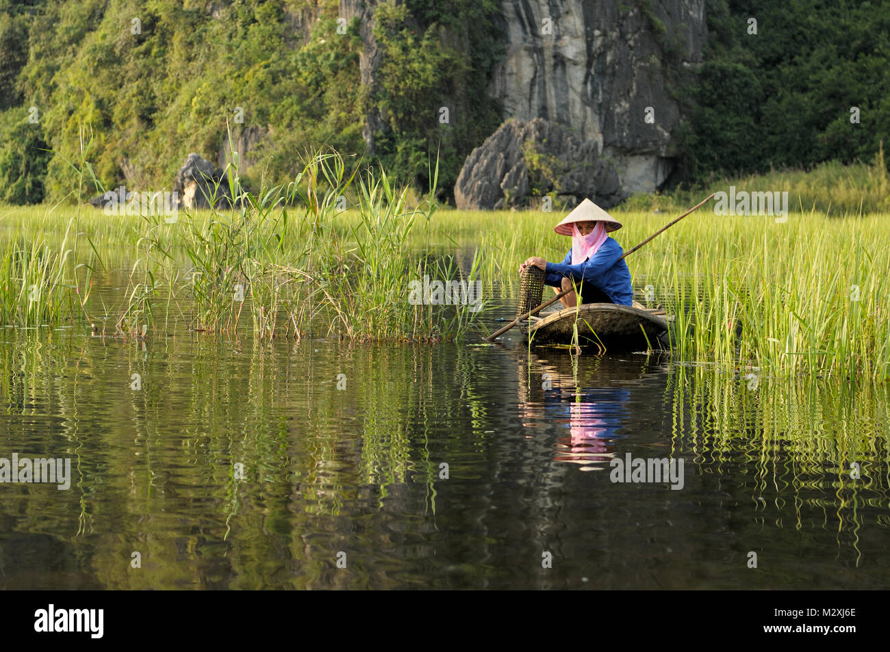 Femme sur une petite barque dans les roseaux de la Réserve Naturelle de Van Long, province de Ninh Binh, Vietnam du Nord Banque D'Images