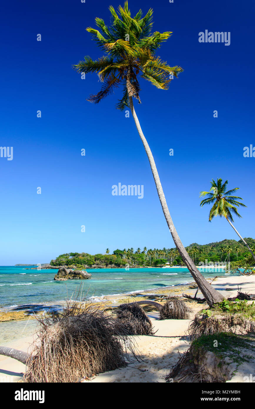 Playa Rincon, Las Galeras, République dominicaine, péninsule de Semana Banque D'Images