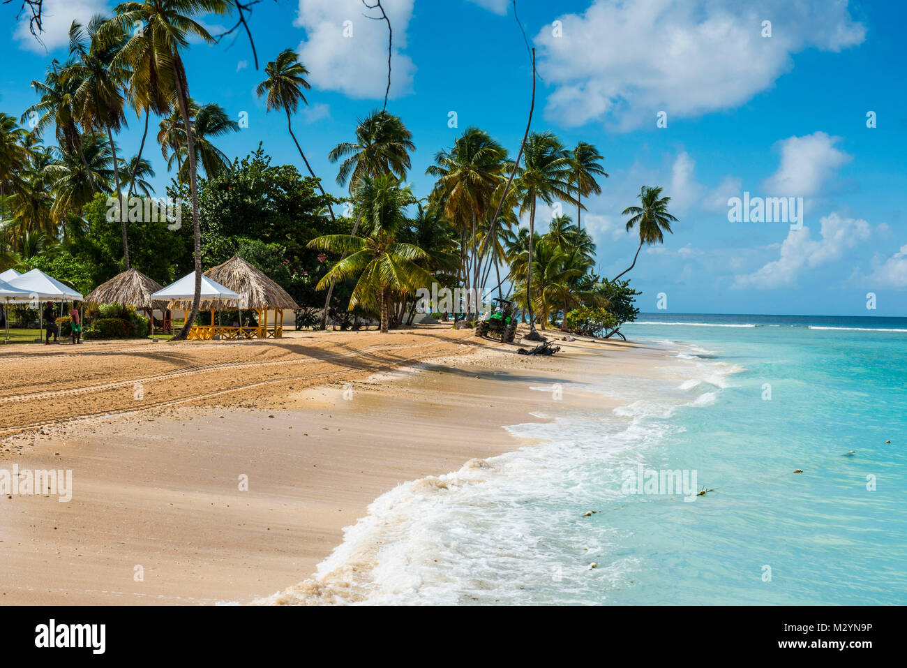 Plage de sable fin et de palmiers de Pigeon Point, Tobago, Trinité-et-Tobago, des Caraïbes Banque D'Images