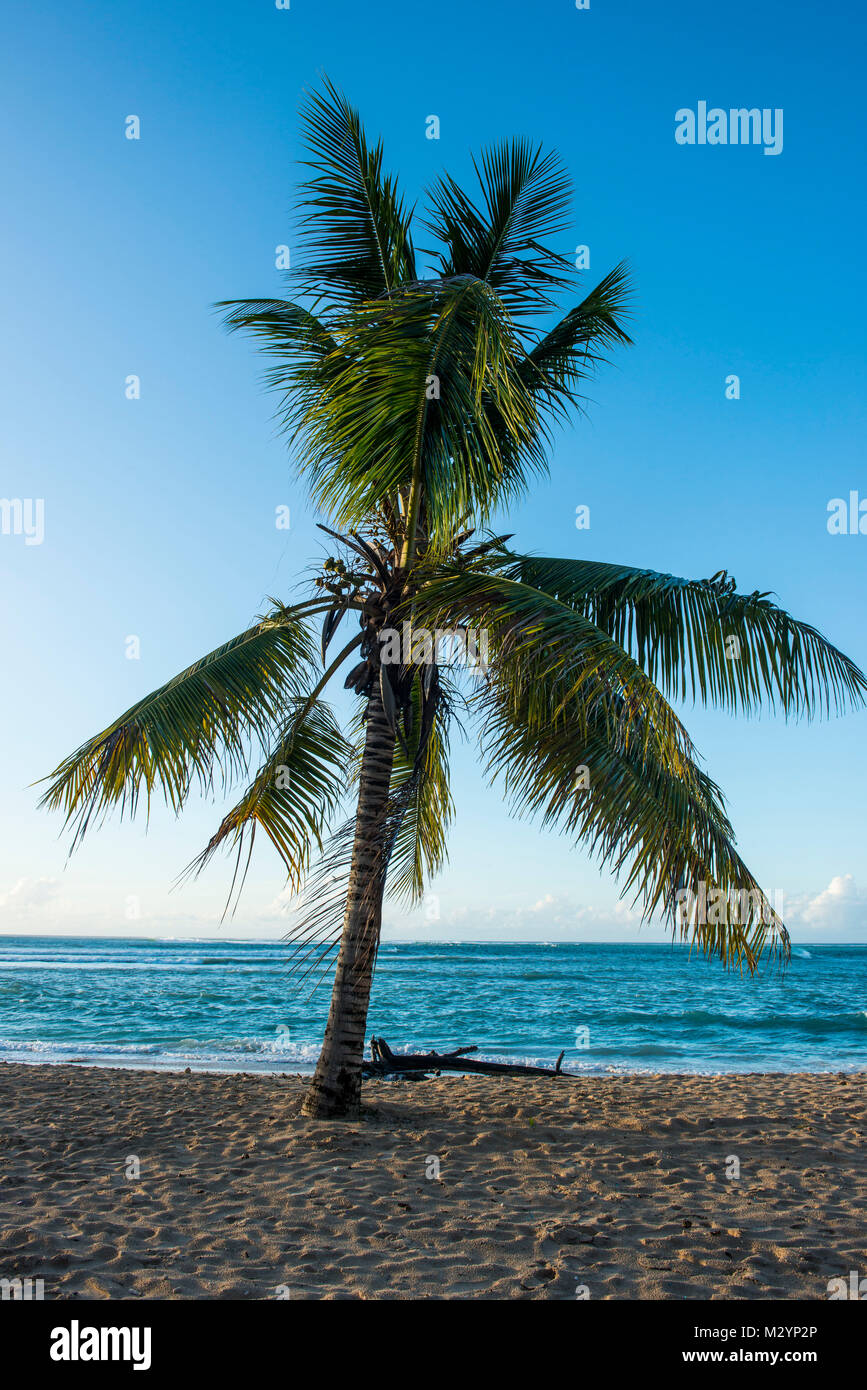 Coucher du soleil à la plage de Pigeon Point, Tobago, Trinité-et-Tobago, des Caraïbes Banque D'Images