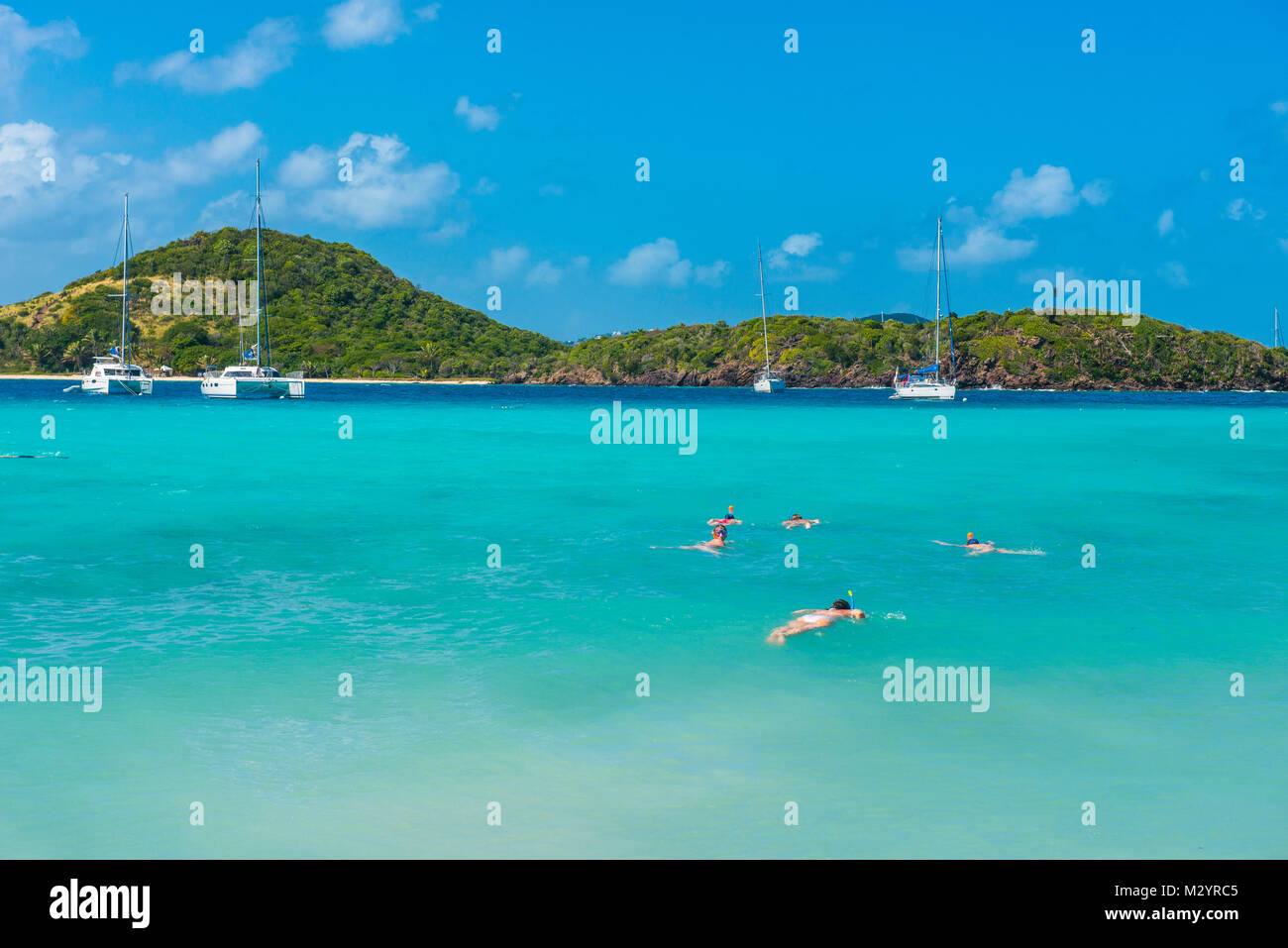 Les touristes de la plongée libre dans les eaux turquoises de la Tobago Cays, Saint Vincent et les Grenadines, Antilles Banque D'Images