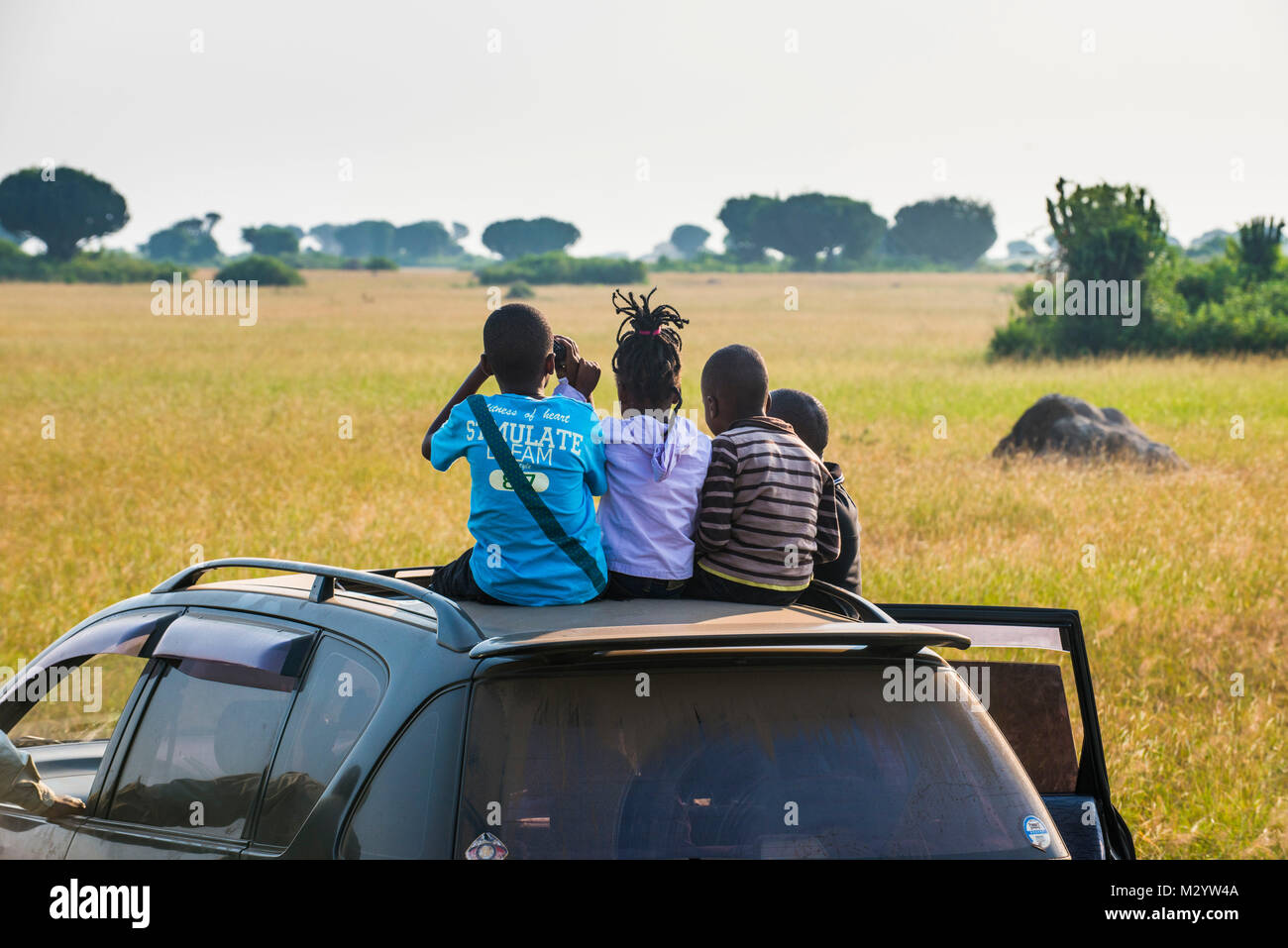 Les jeunes enfants africains sont lion spotting, assis sur le toit d'une voiture, le Parc national Queen Elizabeth, l'Ouganda, l'Afrique Banque D'Images