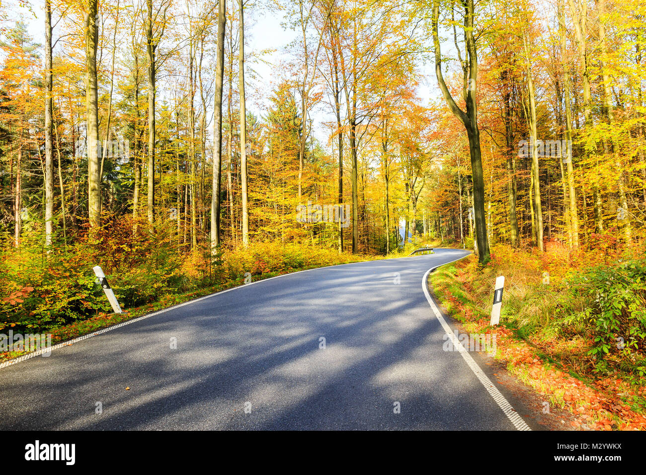 Route à travers une forêt d'automne dans la région de la Suisse tchèque Banque D'Images