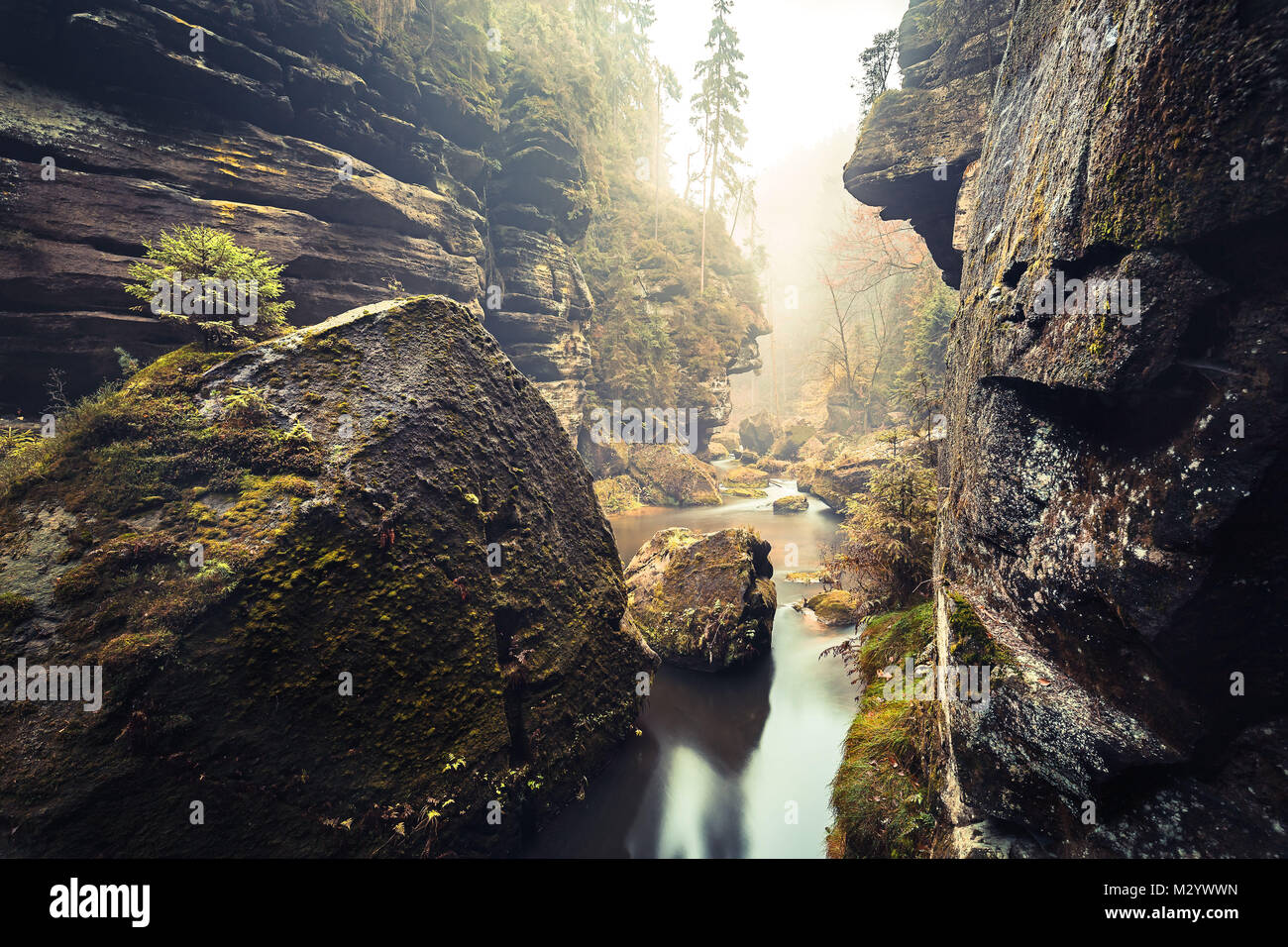 L'Kamnitz Gorge, dans le parc national de la Suisse saxonne Banque D'Images