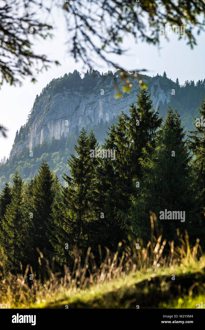 Paysage dans les Alpes autour de Salzbourg en Autriche, Europe Banque D'Images
