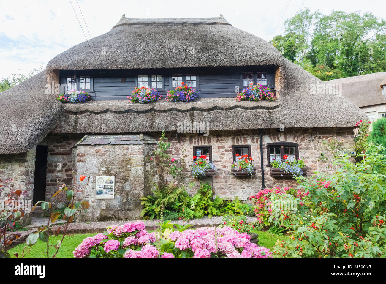 L'Angleterre, Devon, Torquay, Cockington, Thatched House Banque D'Images