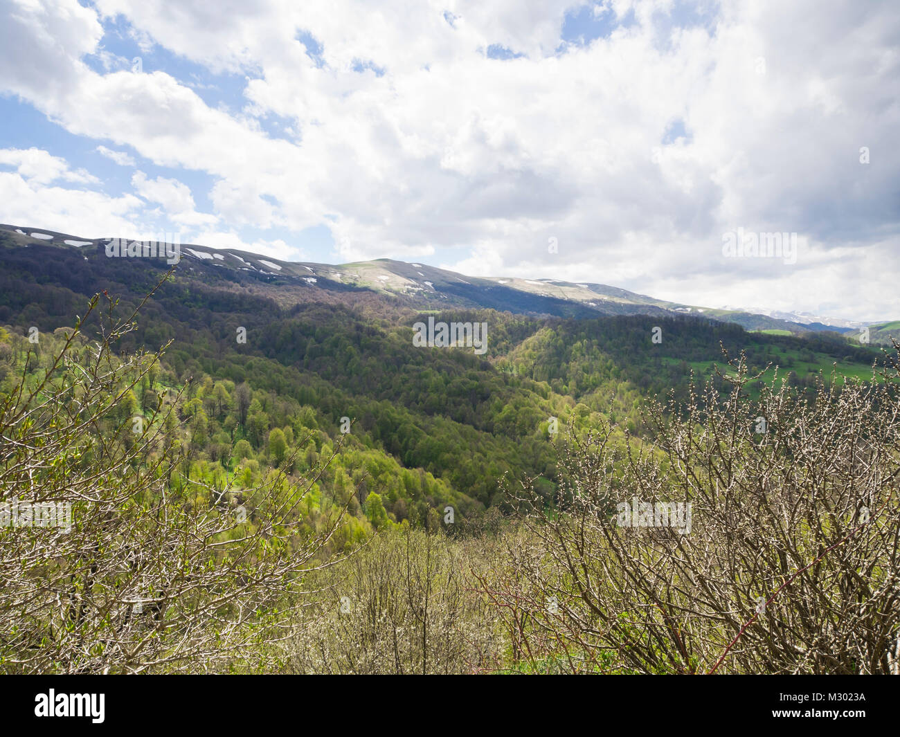 Le printemps à et autour de l'Arménie dans le Parc National de Dilijan une zone appréciée par les randonneurs, une variété d'arbres à feuilles caduques dans différents verts Banque D'Images
