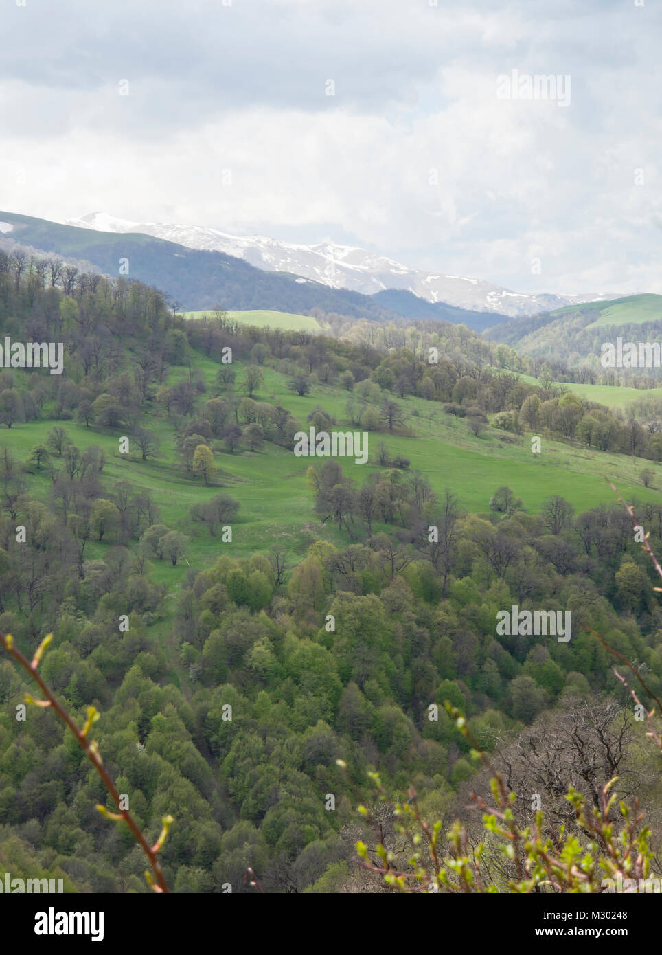 Le printemps à et autour de l'Arménie dans le Parc National de Dilijan une zone appréciée par les randonneurs, une variété d'arbres à feuilles caduques dans différents verts Banque D'Images