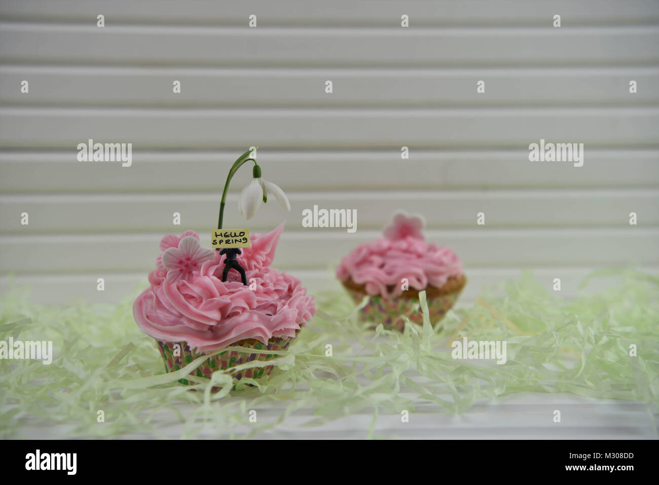 Printemps snowdrop sur un petit gâteau avec miniature personne du prince avec un panneau pour Bonjour Printemps Banque D'Images