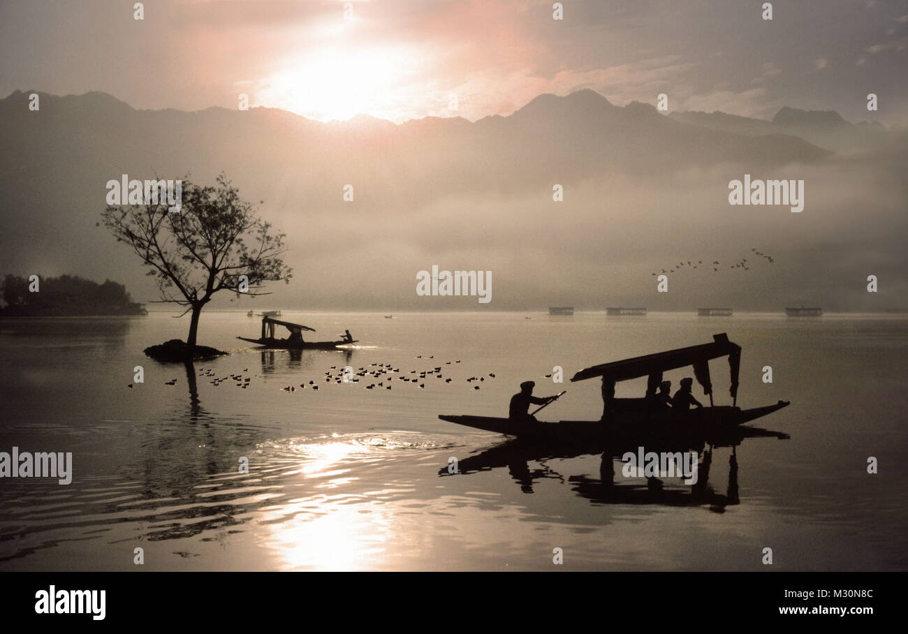 Bateaux sur le lac Dal, à Srinagar, au Cachemire, en Inde, en Asie Banque D'Images