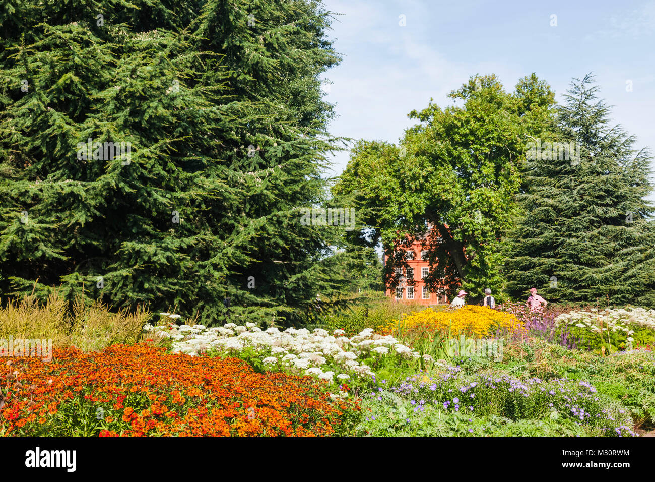 L'Angleterre, Londres, Richmond, Kew Gardens, Le Grand Large à pied Affichage fleur Banque D'Images