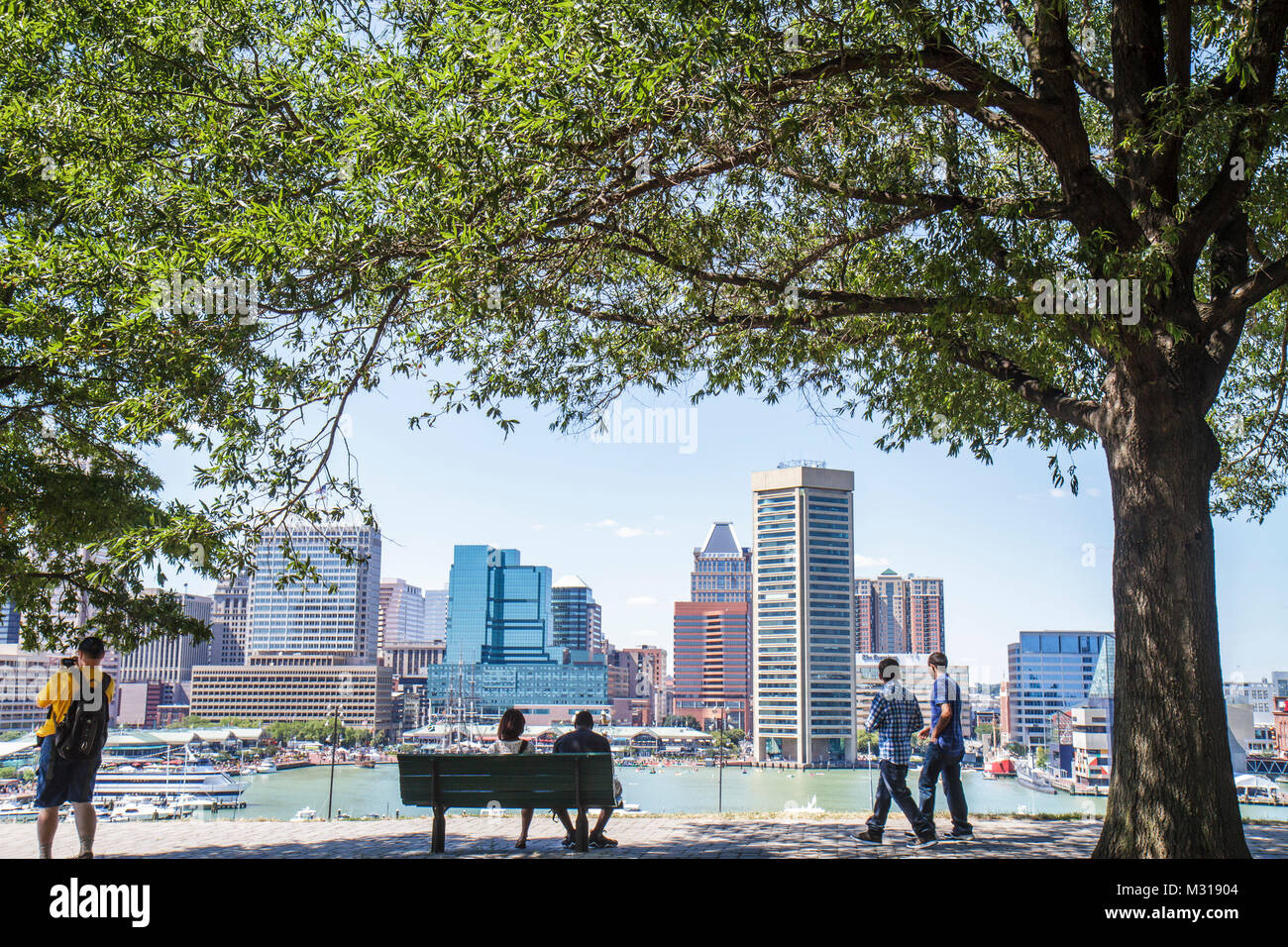 Baltimore Maryland, Federal Hill Park, Inner Harbor, port, Patapsco River, port, front de mer, horizon, arbre, banc de parc, vue, ombre, promenade, se détendre, homme hommes, Banque D'Images