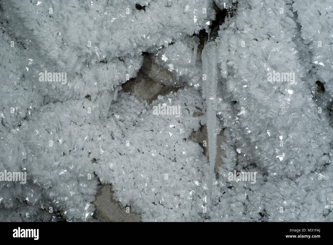 Fragment du plafond d'une grotte karstique avec stalactites de glace, recouvert d'énormes cristaux de gelée blanche Banque D'Images