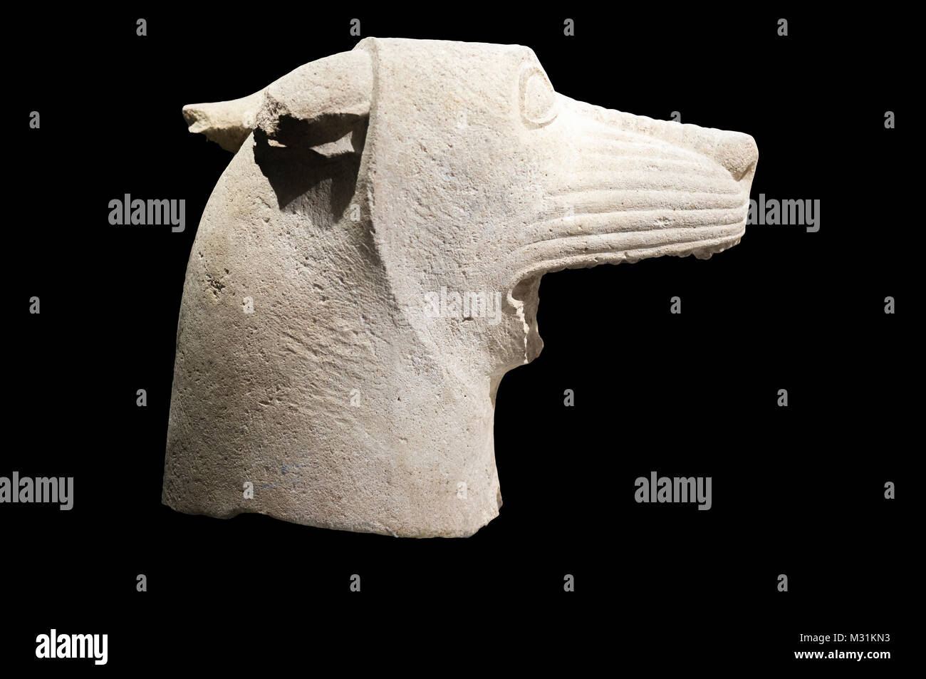 Jaen, Espagne - Décembre 29th, 2017 : tête de loup de culte héroïque d'El Pajarillo, Huelma, Jaen au Musée de Jaén ibérique Banque D'Images