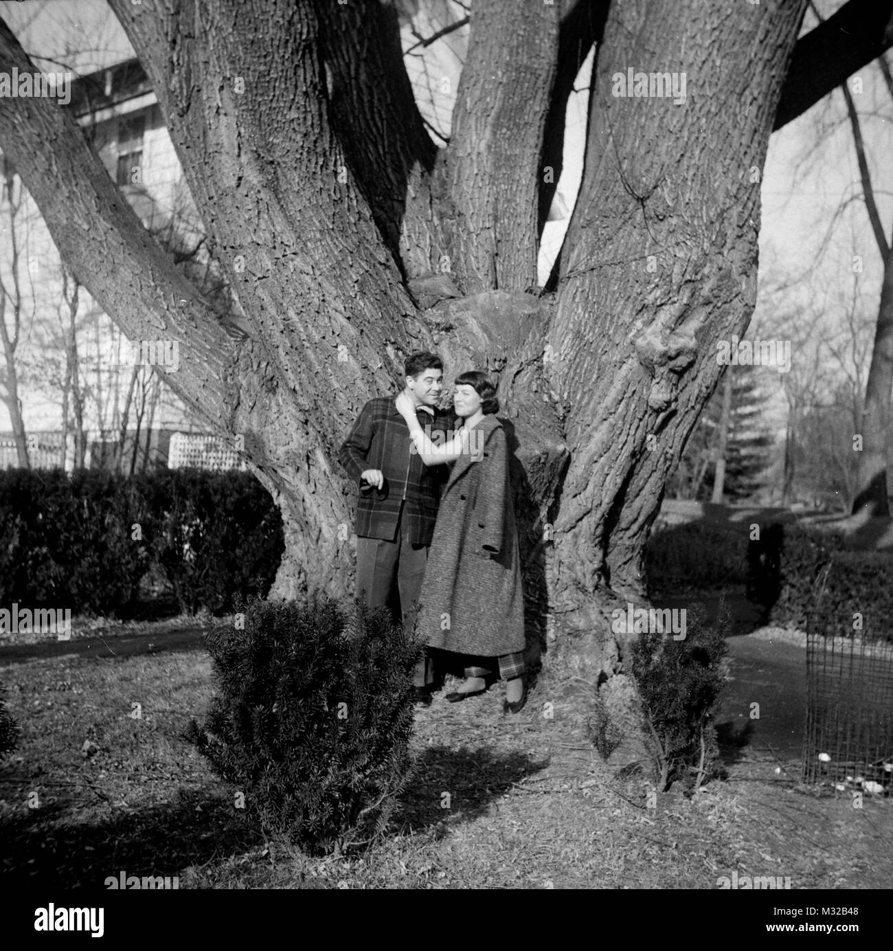 Un couple s'ébattre sous un énorme arbre, ca. 1940. Banque D'Images