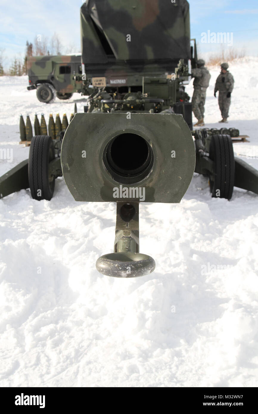 IMG 8038 par 1 Stryker Brigade Combat Team loup arctique Banque D'Images