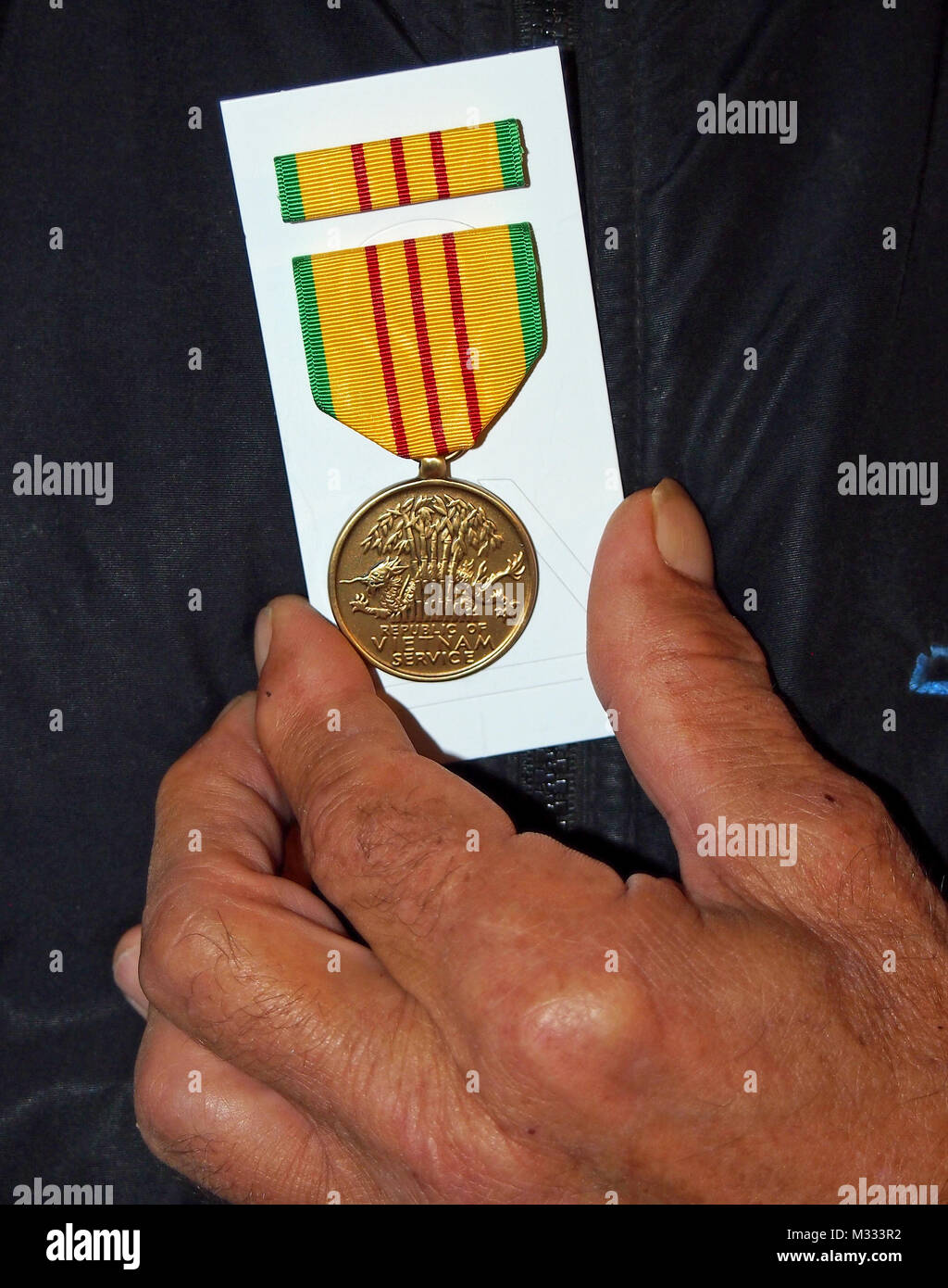 Vietnam Service medal Banque D'Images