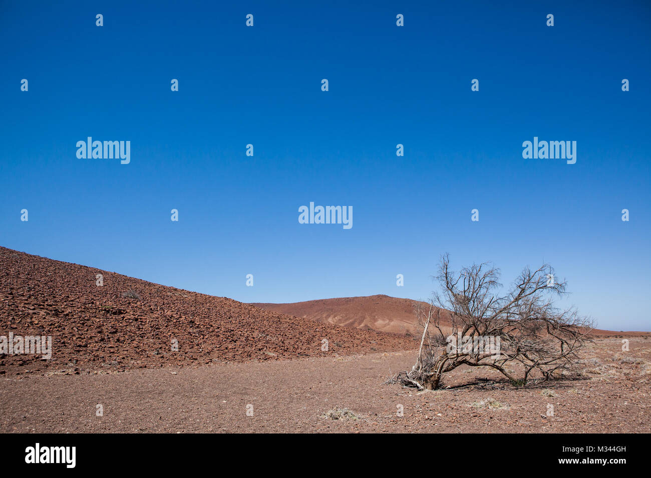 Paysage désertique, Damaraland, Namibie Banque D'Images