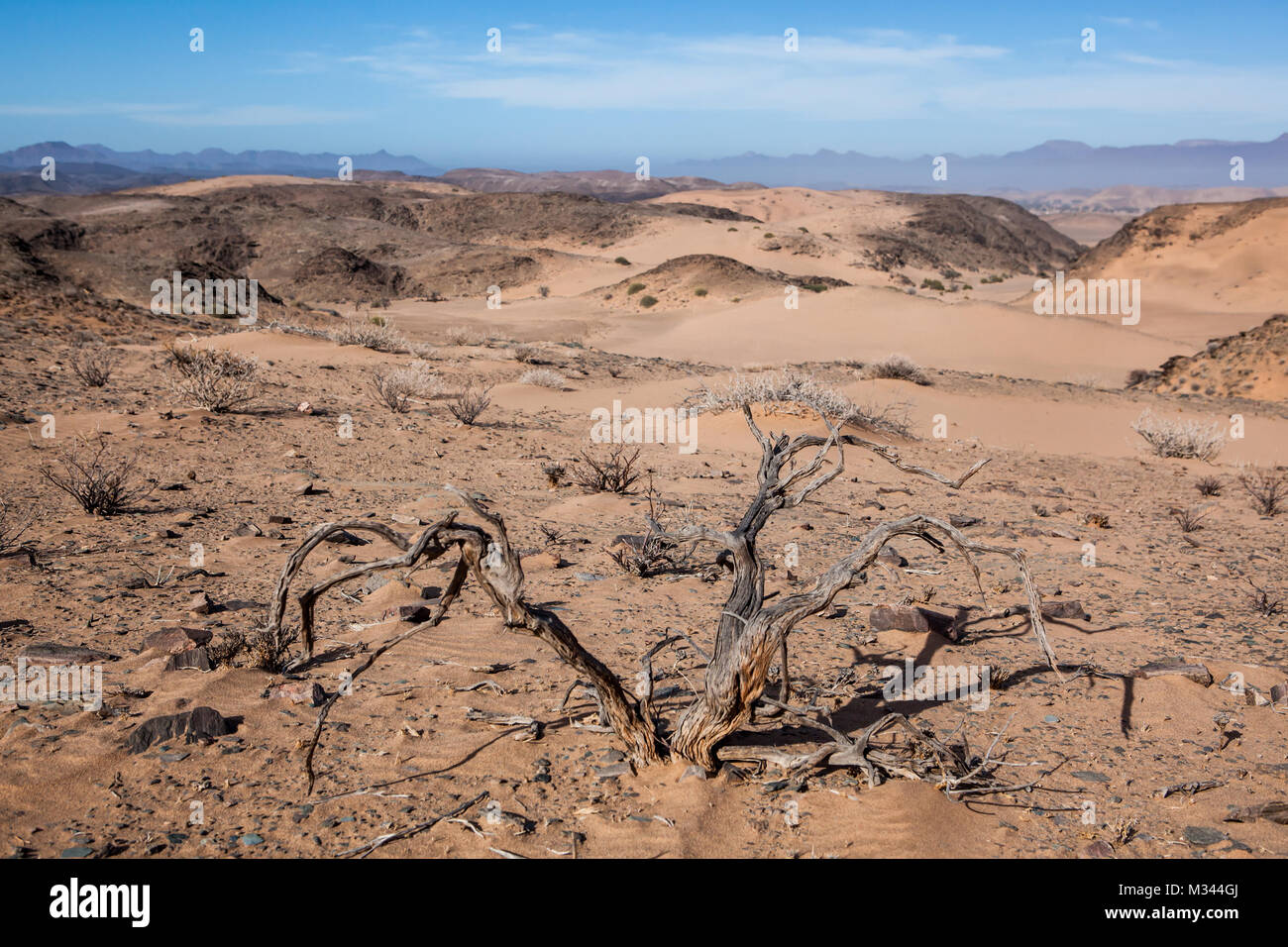 Paysage désertique, Damaraland, Namibie Banque D'Images
