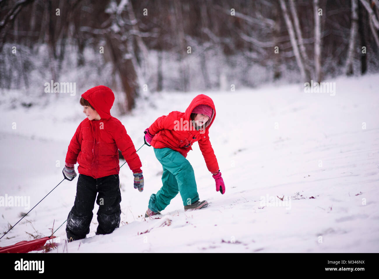 Garçon et fille tirant leurs traîneaux jusqu'à une colline Banque D'Images