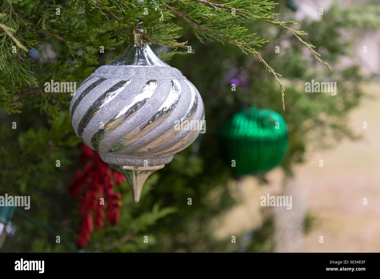 Le personnel des Forces militaires du Texas, famille et amis s'est avéré le camp annuel Mabry Tree Lighting Ceremony à Austin, Texas, le 5 décembre 2014. (U.S. La Garde nationale de l'armée photo par le Sgt. 1re classe Malcolm McClendon). L'arbre 2015 Mabry Camp Cérémonie d'éclairage du Département militaire du Texas Banque D'Images