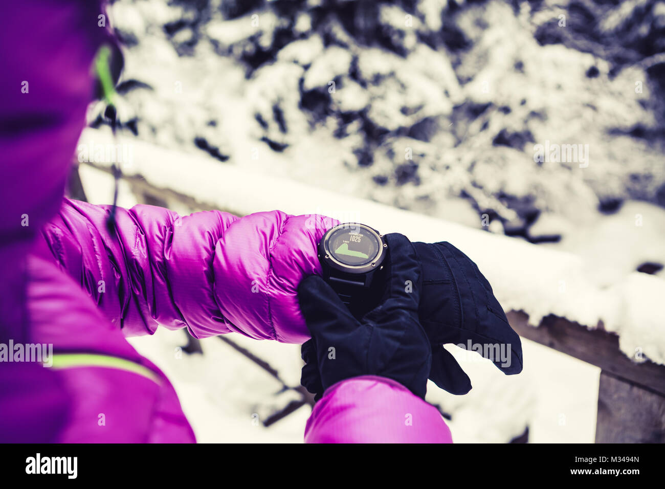 Contrôle de la femme sur l'élévation des randonneurs sports watch, smartwatch avec altimètre app en hiver bois et les montagnes. Trekker femelle blanche dans la forêt enneigée Banque D'Images