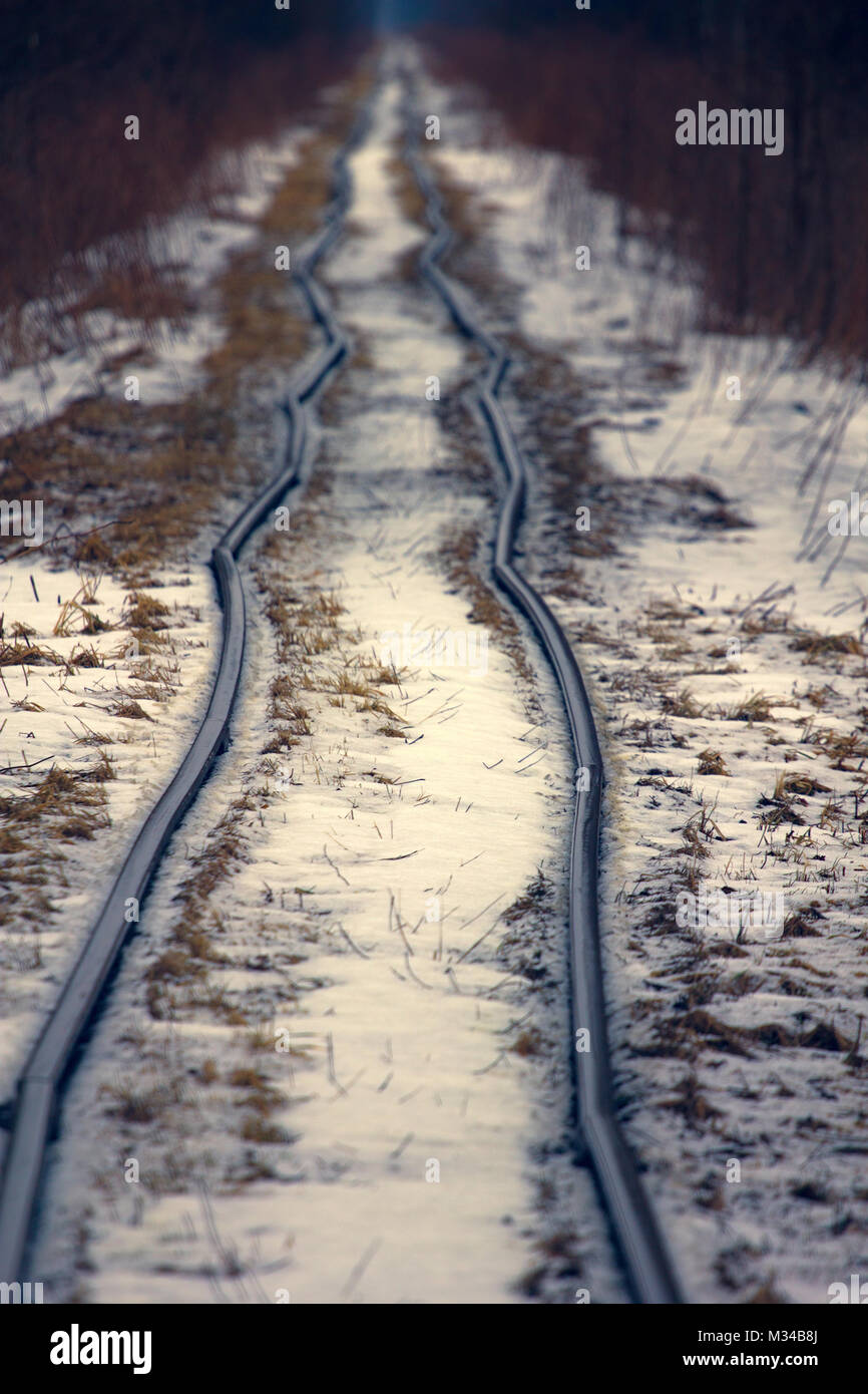 Narrow Gauge Railroad (Dolly) en exploitation forestière. Vestiges de camps pour prisonniers politiques, des camps de Staline. Paysage terne avec des rails de chemin de fer en hiver. c Banque D'Images