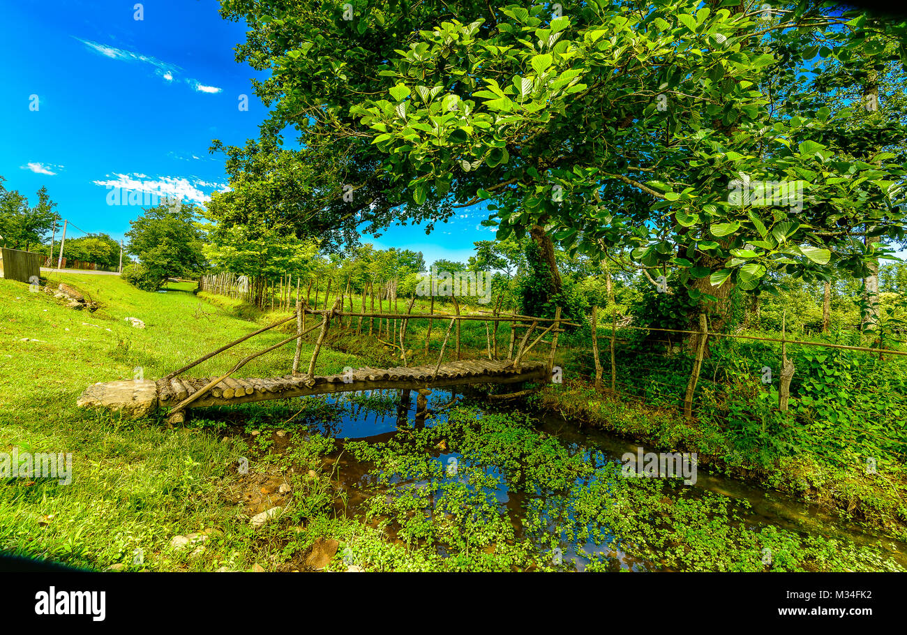 Une scène rurale avec le pont en premier plan, une petite rivière qui coule en arrière-plan. Banque D'Images