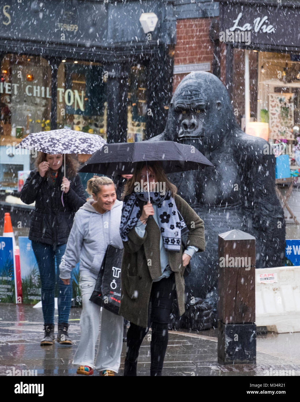 Une douche de neige Shoppers bataille vu par un gorille en fibre de verre grandeur nature sur Wyle Cop, Shrewsbury, lors d'un festival célébrant la ville dans ses liens avec Charles Darwin. Banque D'Images