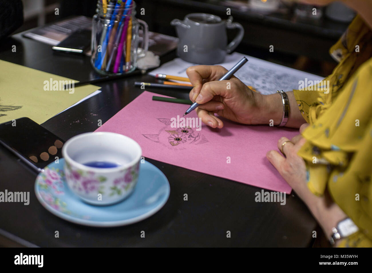 Cardiff, Royaume-Uni. 25 janvier 2018. Bonne féline Cat Cafe, Cardiff, héberge une 'Feline Arty Kitty Party' soir où les clients sont fournis avec un deux heure Banque D'Images