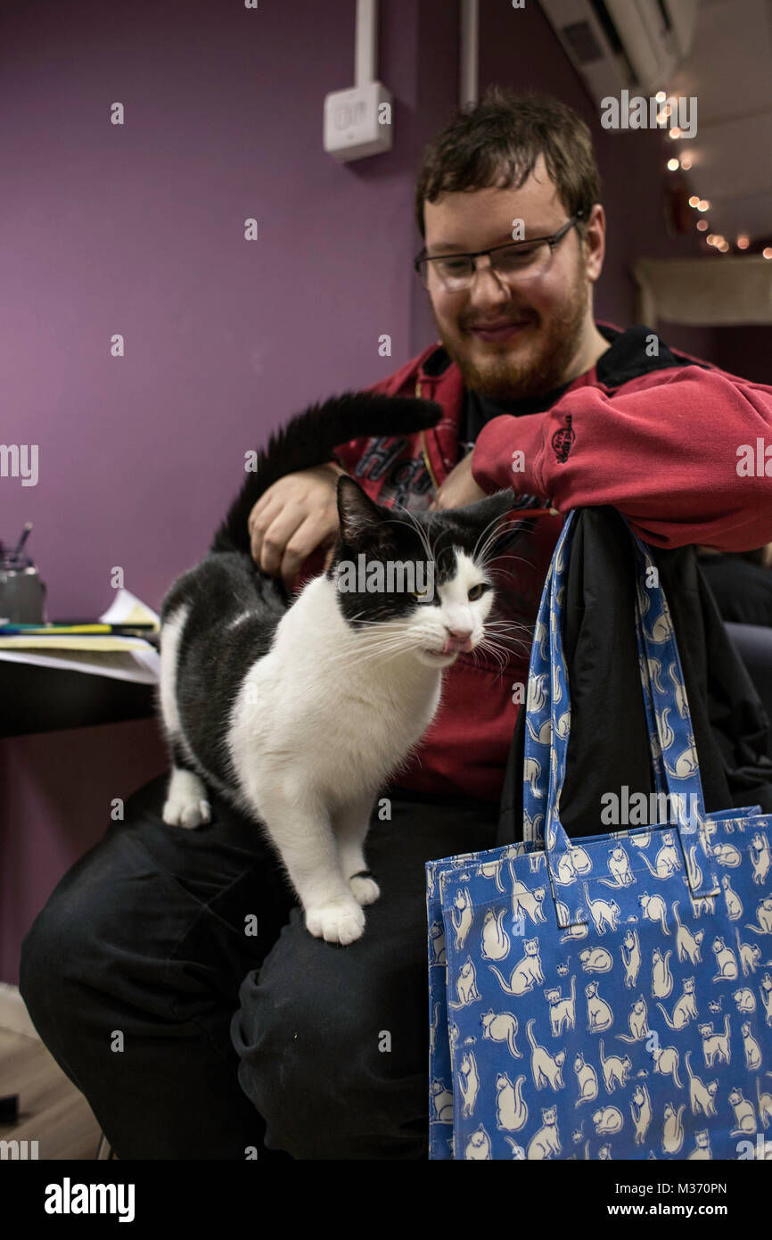 Cardiff, Royaume-Uni. 25 janvier 2018. Bonne féline Cat Cafe, Cardiff, héberge une 'Feline Arty Kitty Party' soir où les clients sont fournis avec un deux heure Banque D'Images