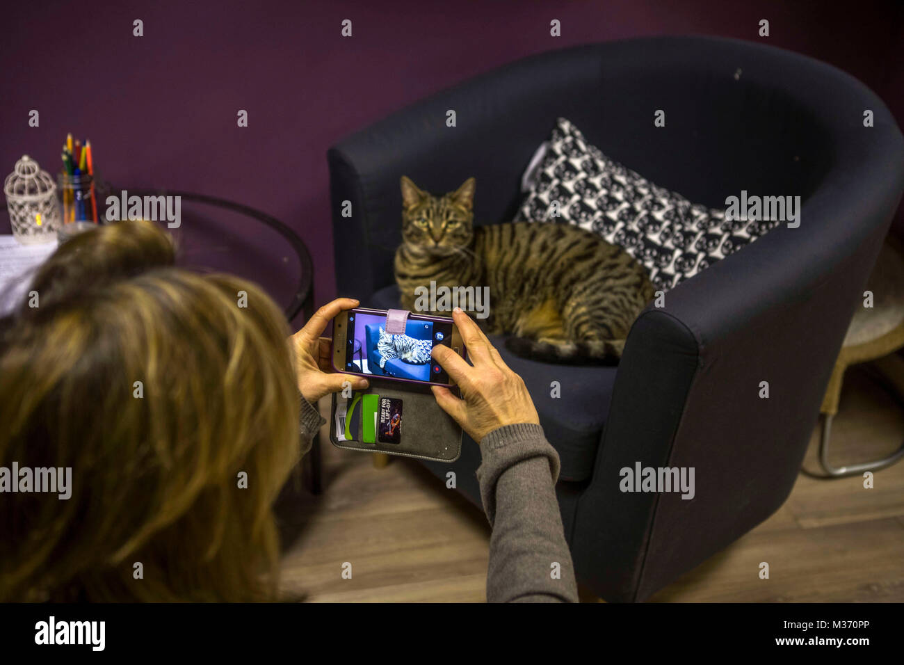 Cardiff, Royaume-Uni. 25 janvier 2018. Bonne féline Cat Cafe, Cardiff, héberge une 'Feline Arty Kitty Party' soir où les clients sont fournis avec un deux heure Banque D'Images