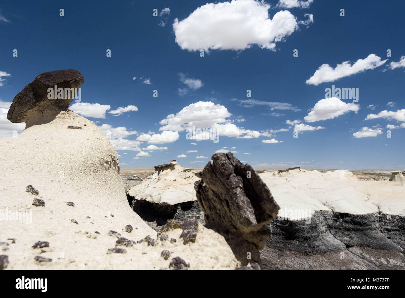 Sauvages et isolés dans le paysage désert Bisti Wilderness Area dans le Nord-Ouest du Nouveau Mexique près de East avec cheminées et étranges formations rocheuses Banque D'Images