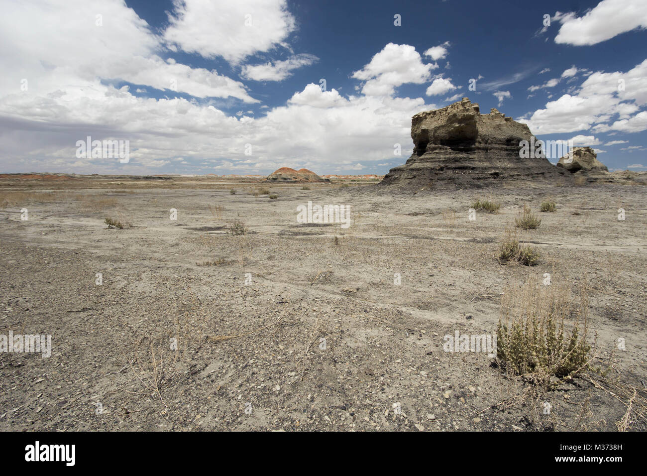 Sauvages et isolés dans le paysage désert Bisti Wilderness Area dans le Nord-Ouest du Nouveau Mexique près de East avec cheminées et étranges formations rocheuses Banque D'Images