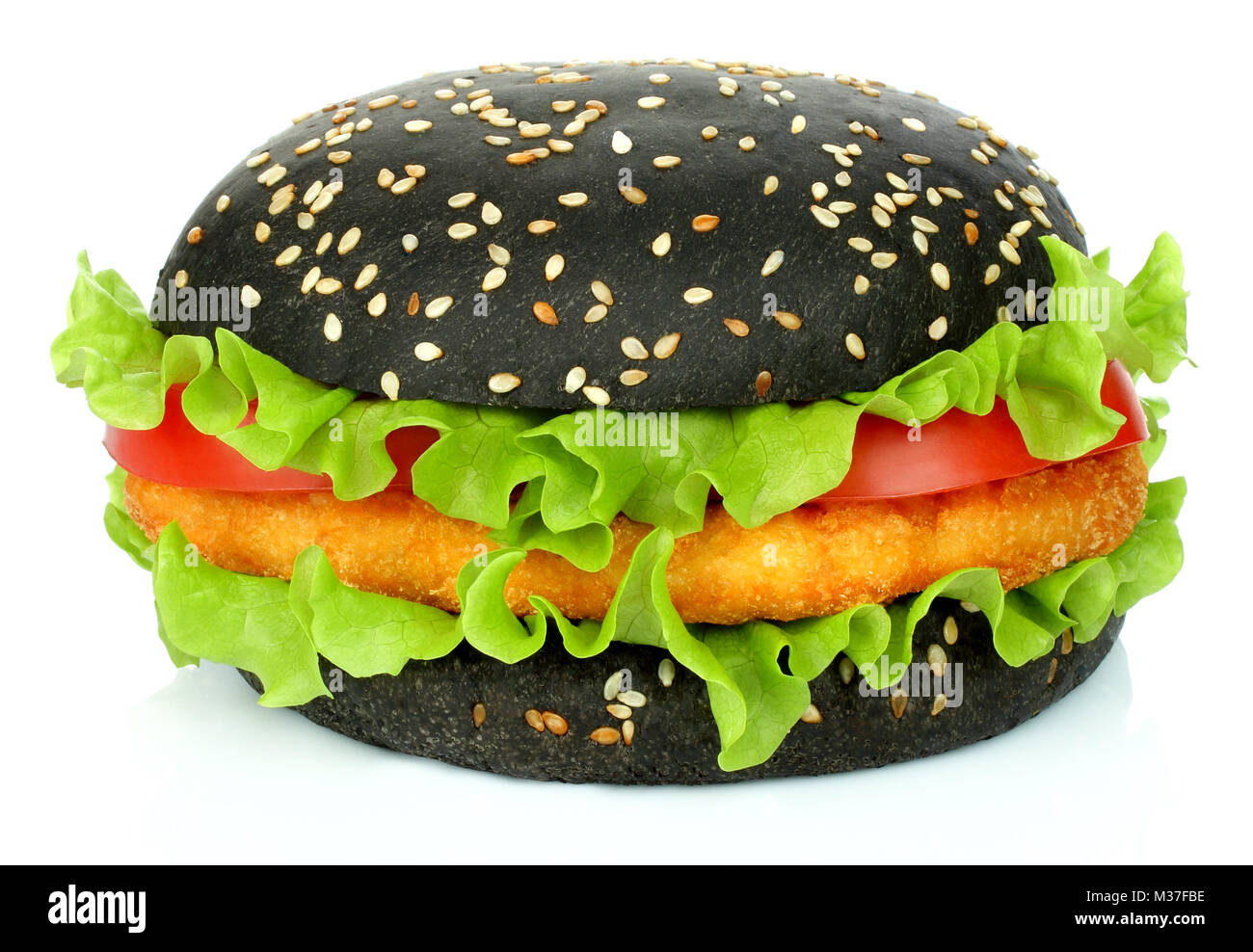 Grosse black avec hamburger escalope de poulet sur fond blanc Banque D'Images