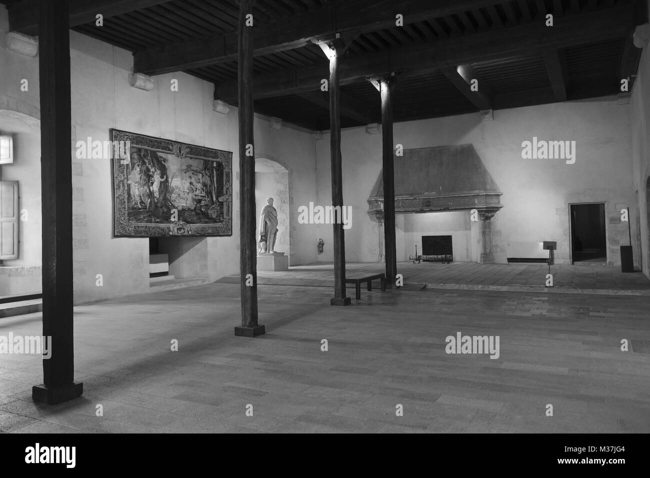 La grande salle basse de Château de Sully, vallée de la Loire, France Banque D'Images