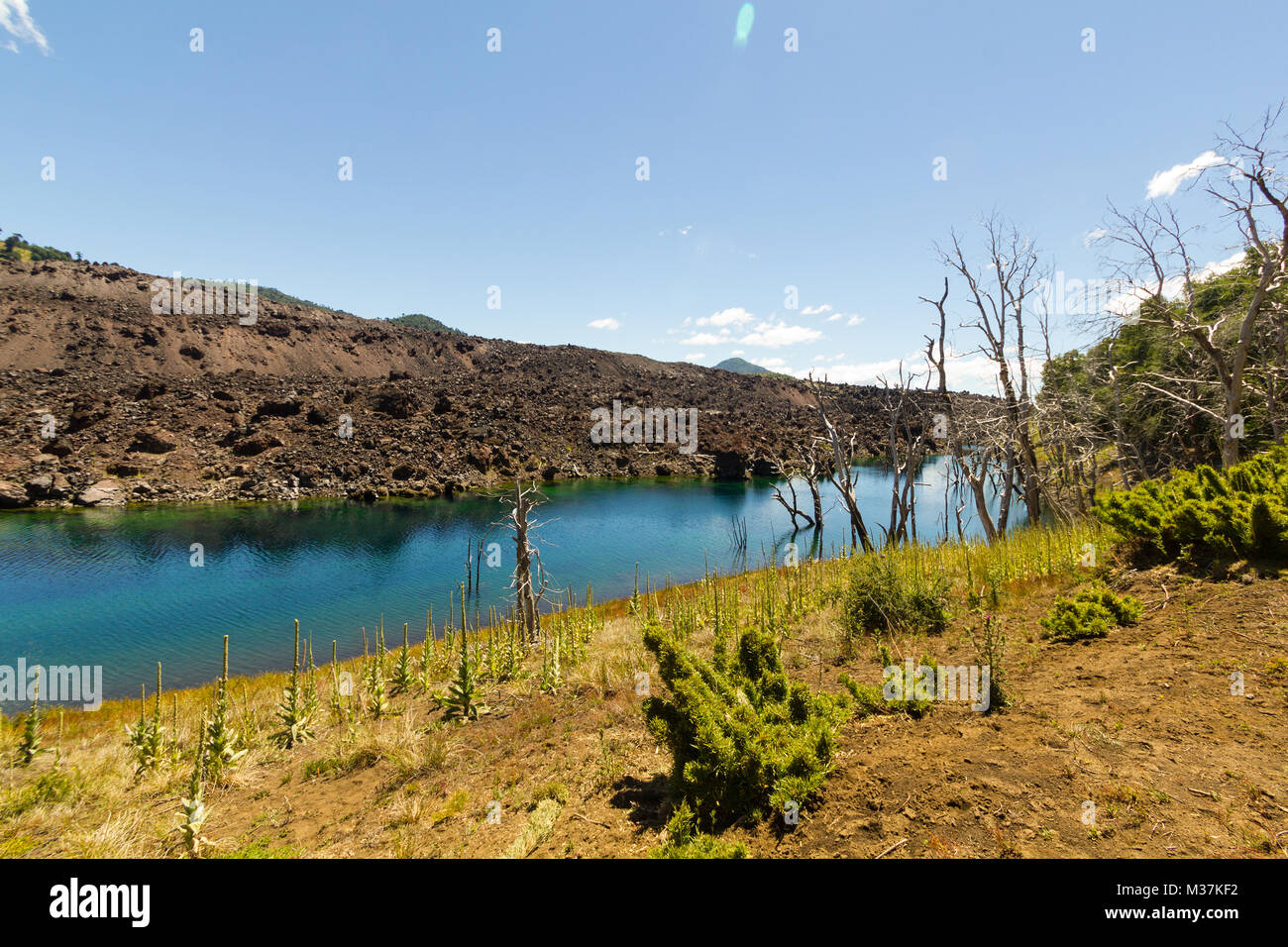 Le lac El Escorial et forêt pétrifiée par l'action de la lave volcanique. Nalcas Réserve Nationale, parc national. Patagonie chilienne, Chili. Banque D'Images